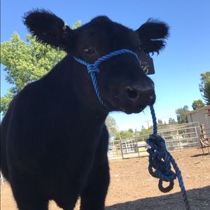 Meet your Posher, Katelyn